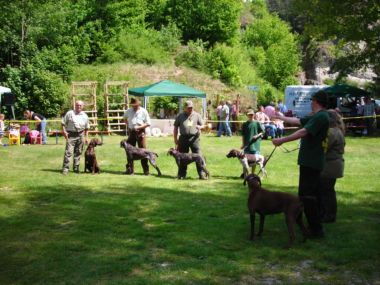 Zuchtgruppe2011