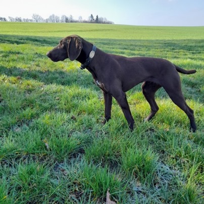 Arienne vom Nonnenhaus